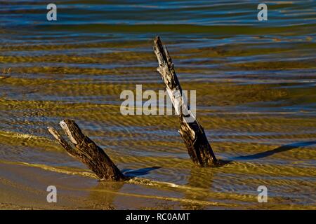 Bois submergé et de l'eau Réflexions le long de la rive du lac McKinsey près de Amarillo, Texas. Banque D'Images