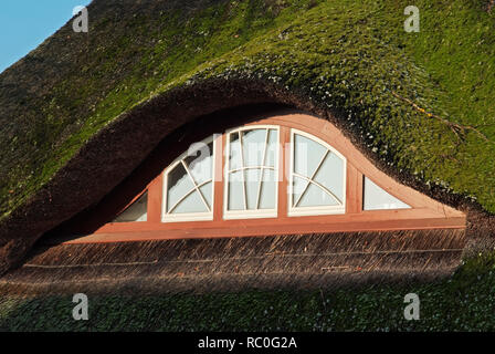 Fenster im alten Kapitänshaus, NÉ, Darss, Fischland-Darss-Zingst, Mecklenburg-Vorpommern, Deutschland, Europa | fenêtre dans un vieux captain's house, Bo Banque D'Images