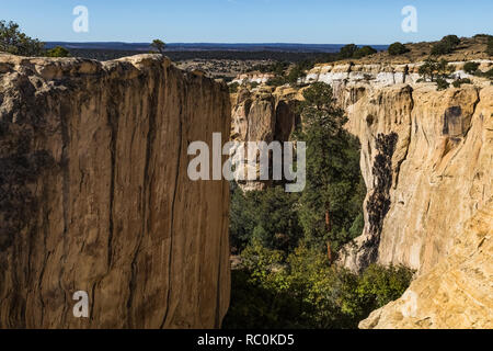 Box Canyon vue du haut de la pointe le long de la piste en haut Mesa El Morro National Monument, New Mexico, USA Banque D'Images