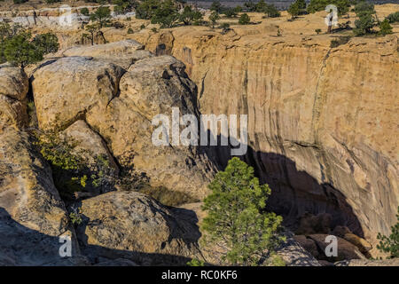 Box Canyon vue du haut de la pointe le long de la piste en haut Mesa El Morro National Monument, New Mexico, USA Banque D'Images