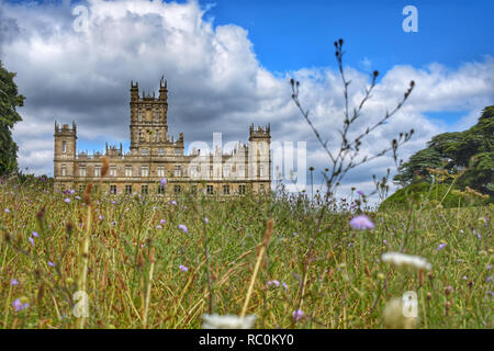 Château de Highclere du jardin de fleurs sauvages Banque D'Images