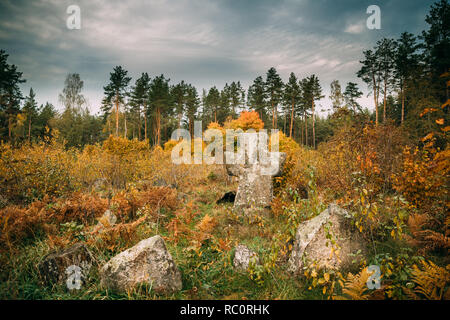 Babtsy, région de Vitebsk, en Biélorussie. Vieille croix de pierre dans l'ancien cimetière. Banque D'Images