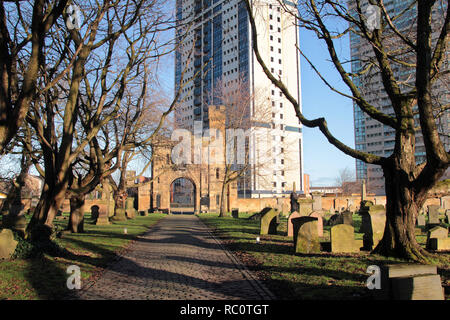 À l'avenue dans le sud du cimetière dans la nécropole de Gorbals à Glasgow. Montrant les troncs d'arbre noueux, tordus, pierres tombales, la porte d'entrée de la maison, et des tours d'immeubles d'appartements. C'était une journée ensoleillée et des ombres joué sur le terrain. Alan Wylie/Alamy © Banque D'Images