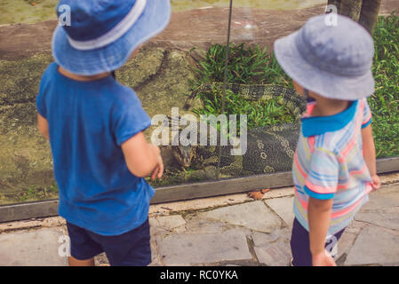 Les garçons regardant reptiles en terrarium à travers le verre. Banque D'Images