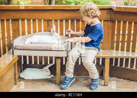 Bébé garçon caresses et jouer avec le lapin dans le zoo pour enfants. concept de durabilité, l'amour de la nature, le respect pour le monde et l'amour pour les animaux Banque D'Images