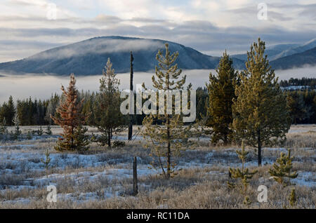 Grande Prairie, dans le parc national des Glaciers à l'ouest vers la plage de corégone en hiver. Flathead Comté, au nord-ouest du Montana. Banque D'Images