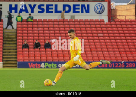 Barnsley, au Royaume-Uni. Jan 12, 2019. 12 janvier 2019, Oakwell, Barnsley, Angleterre ; Sky Bet la League One, Barnsley vs Bradford City ; Richard O'Donnell (01) de Bradford City durant la partie Crédit : Mark Cosgrove/News Images images Ligue de football anglais sont soumis à licence DataCo Crédit : News Images /Alamy Live News Banque D'Images