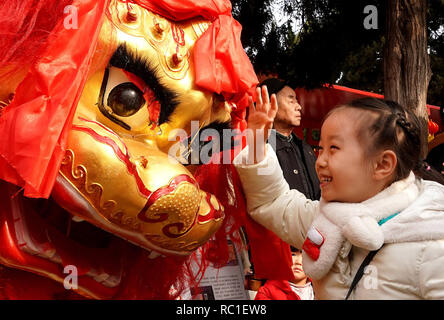 Beijing, Chine, province de Henan. Jan 12, 2019. Une fille qui interagit avec une danse du lion interprète à la cérémonie de lancement d'une série d'événements pour célébrer le prochain Nouvel An lunaire, au parc Zijingshan à Zhengzhou, province du Henan en Chine centrale, le 12 janvier, 2019. Un crédit : Li/Xinhua/Alamy Live News Banque D'Images