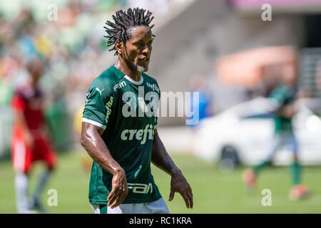 Sao Paulo, Brésil. 13 janvier 2019. SÃO PAULO, SP - 13.01.2019 : AMIGOS DO ZÉ ROBERTO X PALMEIRAS - Zé Roberto. Les amis de Zé x Palmerias toutes les fois. Soiree de fonctionnaire de Zé Roberto. Ze Roberto par revaldo portugais, joué pour le Bayern Munich, le Bayer Leverkusen, Real Madrid, Grêmio et Palmeiras. Il a joué plus de 80 fois pour l'équipe nationale brésilienne. L'ancien joueur est actuellement conseiller technique à Palmeiras. Le match joué à Allianz Park, zone ouest de São Paulo ce dimanche (13). Crédit : Foto Arena LTDA/Alamy Live News Crédit : Foto Arena LTDA/Alamy Live News Banque D'Images