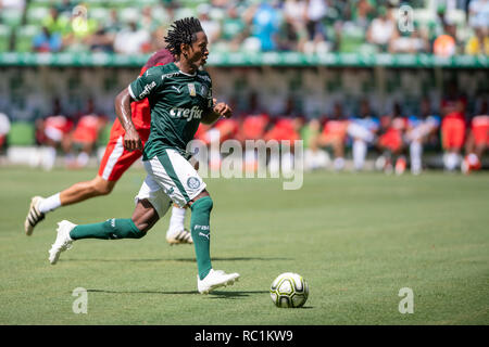 Sao Paulo, Brésil. 13 janvier 2019. SÃO PAULO, SP - 13.01.2019 : AMIGOS DO ZÉ ROBERTO X PALMEIRAS - Zé Roberto. Les amis de Zé x Palmerias toutes les fois. Soiree de fonctionnaire de Zé Roberto. Ze Roberto par revaldo portugais, joué pour le Bayern Munich, le Bayer Leverkusen, Real Madrid, Grêmio et Palmeiras. Il a joué plus de 80 fois pour l'équipe nationale brésilienne. L'ancien joueur est actuellement conseiller technique à Palmeiras. Le match joué à Allianz Park, zone ouest de São Paulo ce dimanche (13). Crédit : Foto Arena LTDA/Alamy Live News Crédit : Foto Arena LTDA/Alamy Live News Banque D'Images