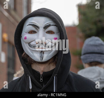 Brentwood, Essex, Royaume-Uni. 13 janvier 2019. Un cube de vérité protester à Brentwood High Street par anonyme pour les sans voix ; un groupe de promouvoir le véganisme et le bien-être des animaux. Les ordinateurs portables et écrans vidéos montrent des images pénibles d'allégations de cruauté envers les animaux. Ian Davidson Crédit/Alamy Live News Banque D'Images