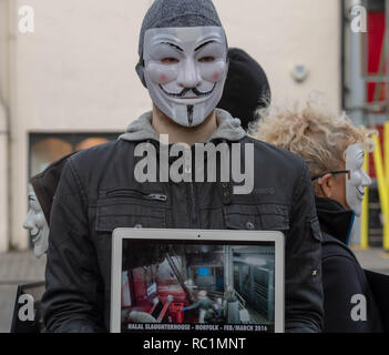 Brentwood, Essex, Royaume-Uni. 13 janvier 2019. Un cube de vérité protester à Brentwood High Street par anonyme pour les sans voix ; un groupe de promouvoir le véganisme et le bien-être des animaux. Les ordinateurs portables et écrans vidéos montrent des images pénibles d'allégations de cruauté envers les animaux. Ian Davidson Crédit/Alamy Live News Banque D'Images