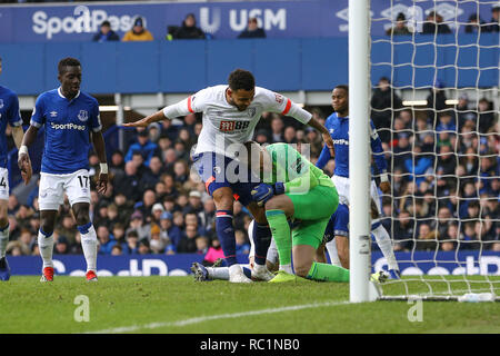 Liverpool, Royaume-Uni. 13e Janvier 2019. Le Gardien d'Everton Jordan Pickford tient le ballon en Josué Roi de Bournemouth s'exécute en lui. Premier League, Everton v Bournemouth AFC à Goodison Park à Liverpool le dimanche 13 janvier 2019. Cette image ne peut être utilisé qu'à des fins rédactionnelles. Usage éditorial uniquement, licence requise pour un usage commercial. Aucune utilisation de pari, de jeux ou d'un seul club/ligue/dvd publications. Photos par Chris Stading/Andrew Orchard la photographie de sport/Alamy live news Banque D'Images