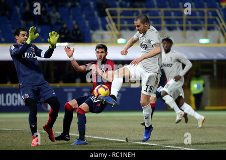 Bologne, Italie. 12Th jan 2019. football, COPIE ITALIE BOLOGNE 2018-2019 TIM - JUVENTUS 0-2 dans l'image : BONUCCI : Crédit Photo Agency indépendante/Alamy Live News Banque D'Images