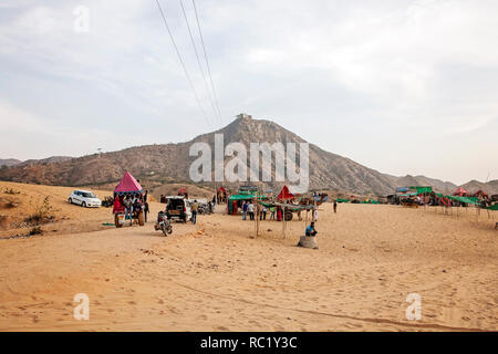 Désert Pushkar, Rajasthan, India, Février 2018 : Pushkar désert avec des chameaux et des véhicules Banque D'Images