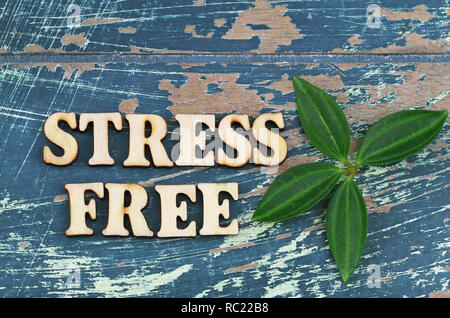 Effort libre écrit avec des lettres en bois avec des feuilles vertes Banque D'Images