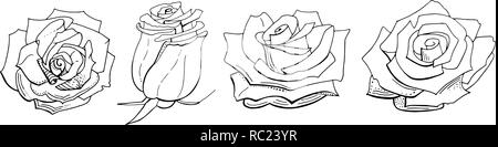 Roses isolé sur fond blanc. Ensemble d'éléments. Noir et blanc. Fichier EPS 10 Vector illustration Illustration de Vecteur