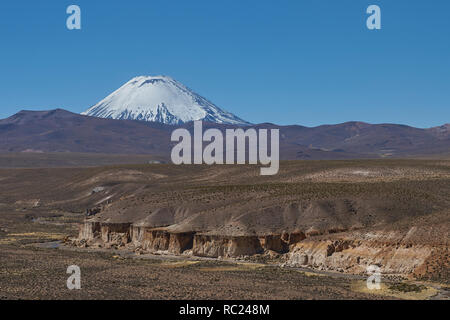 Couvert de neige volcan Parinacota (6342m) s'élevant au-dessus de l'Altiplano et les falaises le long de la vallée de la rivière dans le Parc National Lauca Lauca Banque D'Images