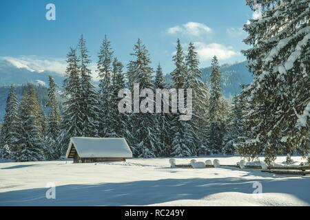 Chalet en bois couverts par les fortes chutes de neige et le paysage d'hiver. Banque D'Images