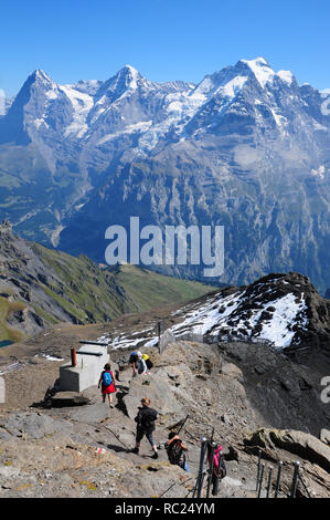 Alpes Suisses : parapente près de Grindelwald au Schilthorn dans l'Oberland bernois montrant la fonte des glaciers partout à l'Eiger, Mönch et Jungfrau Banque D'Images