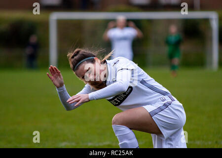 Swansea City Chers Cardiff City hôte Femmes dans le Women's Welsh Premier League à Llandarcy Academy of Sport. Lewis Mitchell/YCPD. Banque D'Images