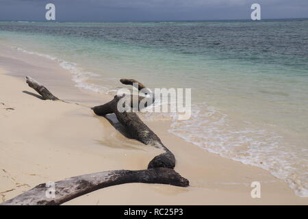 Driftwood au paradis, Madagascar Banque D'Images