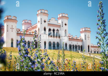 Voir Puslowski palais par fleurs lavandula dans Kosava en été, Bélarus Banque D'Images