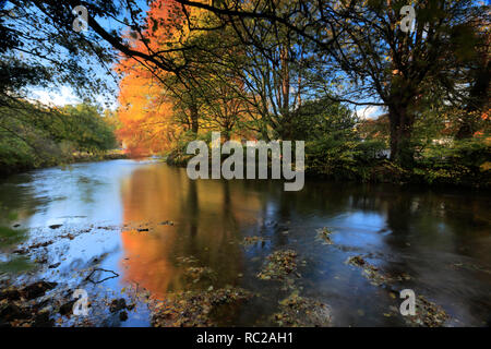 Couleurs d'automne, rivière Wye Ashford, dans le village de l'eau, Parc national de Peak District, Derbyshire Dales, England, UK Banque D'Images