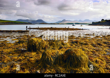 Vue sur Port de Ballinakill le long de la côte du comté de Galway en Irlande. Banque D'Images