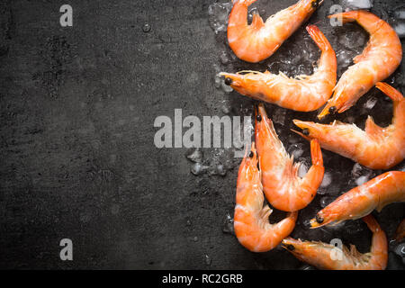 Crevettes fraîches crevettes dans la glace. Banque D'Images