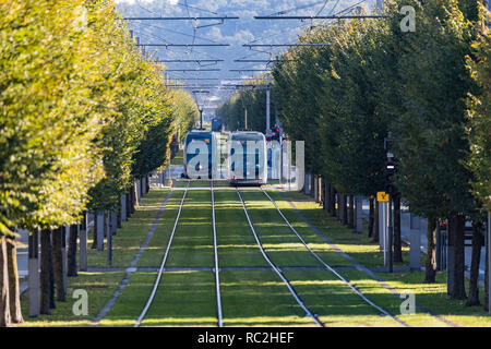 Bordeaux, France - 27 septembre 2018 : les transports en passant par les tramways rues bordées d'arbres dans la ville de Bordeaux. Banque D'Images