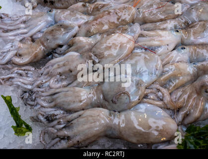 Les poissons exposés à Medterranean seamarket ouvert, Naples Banque D'Images