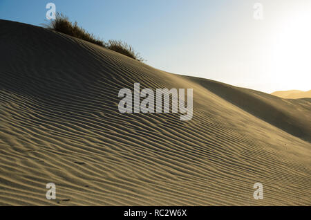 Dunes de sable sur Wharariki Beach, la Nouvelle-Zélande Banque D'Images