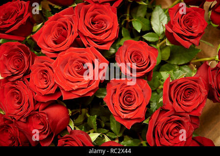 Bouquet de fleurs roses rouge foncé. Banque D'Images