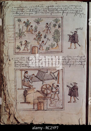 Le Codice DE OSUNA O DE LOS GOBERNADORES - INDIOS CULTIVANDO LA TIERRA Y TRABAJANDO EN LA INDUSTRIA TEXTIL - 1563 - FOLIO 38 C. Emplacement : BIBLIOTECA NACIONAL-COLECCION. MADRID. L'ESPAGNE. Banque D'Images