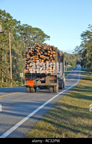 Transport par camion d'exploitation forestière récoltée le Sud de 'longue feuille' 'pin Pinus palustris' à la scierie. Banque D'Images