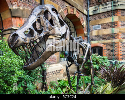 - Sculpture dinosaure tyrannosaure à l'extérieur de la sculpture Sedgwick Museum of Earth Sciences. Artiste Ian Curran Banque D'Images