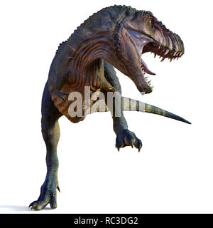Mâle - Dinosaure Tyrannosaurus Tyrannosaurus rex était un dinosaure théropode carnivore qui vivait en Amérique du Nord pendant la période du Crétacé. Banque D'Images