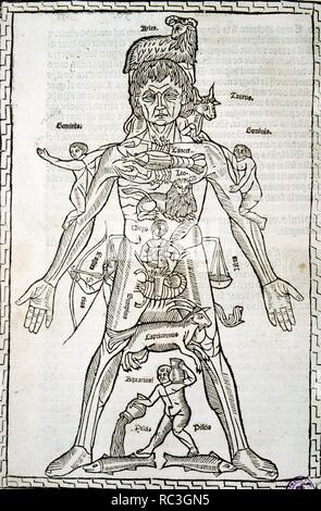 JOHANES KETHAM. Médecin allemand. Corps de l'HOMME AVEC LES SIGNES DU ZODIAQUE. Feuille DE SON TRAVAIL, publié à Pampelune en 1498 'ÉPILOGUE DE MÉDECINE ET DE CHIRURGIE PRATIQUE POUR VOTRE SANTÉ". Banque D'Images