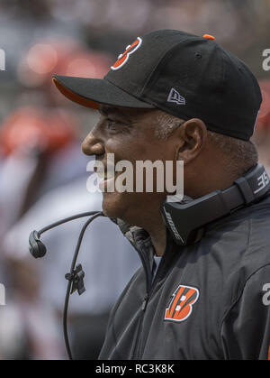 Oakland, Californie, USA. 13 Sep, 2015. Cincinnati Bengals entraîneur en chef Marvin Lewis le dimanche 13 septembre 2015 à O.co Coliseum à Oakland, Californie. Les Bengals défait les Raiders 33-13. Crédit : Al Golub/ZUMA/Alamy Fil Live News Banque D'Images