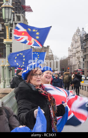 Londres, Royaume-Uni. 13e Janvier 2019. La travée du pont de Westminster Bridge de protestation devant le "signifiante" débat à la Chambre des communes. Credit : Bruce Tanner/Alamy Live News Banque D'Images