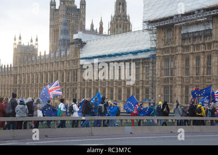 Londres, Royaume-Uni. 13e Janvier 2019. La travée du pont de Westminster Bridge de protestation devant le "signifiante" débat à la Chambre des communes. Credit : Bruce Tanner/Alamy Live News Banque D'Images