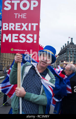 Londres, Royaume-Uni. 13e Janvier 2019. La travée du pont de Westminster Bridge de protestation devant le "signifiante" débat à la Chambre des communes. Credit : Bruce Tanner/Alamy Live News Banque D'Images