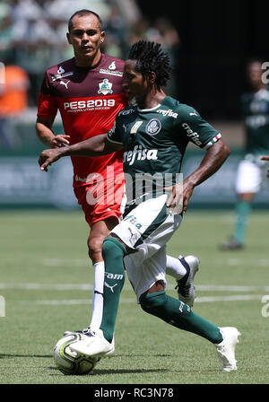 Sao Paulo, Brésil. 13 janvier 2019. AMIGOS DO ZÉ ROBERTO X PALMEIRAS - Les Amis de Zé Roberto contre Palmeiras. Jeu de l'Adieu ex-joueur Zé Roberto, Allianz Arena dans le parc. Zé Roberto. (Photo : Cesar Greco/Fotoarena) Crédit : Foto Arena LTDA/Alamy Live News Banque D'Images