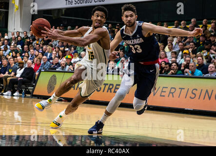 Jan 12 2019 San Francisco, CA États-Unis San Francisco avant Nate Renfro (15) disques durs au panier pendant la NCAA Men's match de basket-ball entre 1568 et les Bulldogs de San Francisco Dons 83-96 perdu au War Memorial Gymnasium San Francisco Californie Thurman James/CSM Banque D'Images