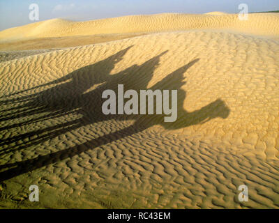 L'ombre des trois coureurs de chameau est ancré dans le sable sur la dune. Banque D'Images