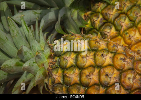 L'Ananas close-up photo Banque D'Images