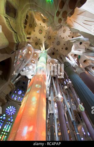 Barcelone, Catalogne, Espagne. Basilique de la Sagrada Familia, par Antonio Gaudi (1852-1926). L'intérieur. Nef centrale. Géométries et formes inspirées de la nature. De style moderniste. Banque D'Images