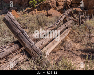 Vieille clôture, Rock Creek Canyon latéral, la désolation au nord de Green River Canyon, Utah. Banque D'Images