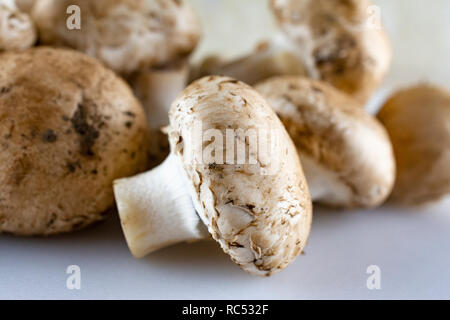 Vue rapprochée d'un groupe de champignons. Ceux qu'on trouve généralement dans les épiceries. Banque D'Images